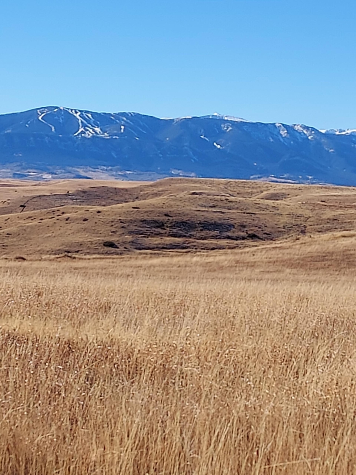 Three Ranges Ranch | Roberts Montana | Fay Ranches