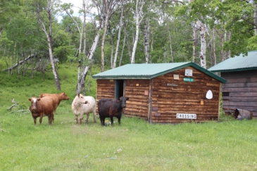 Cow ranches for sale Montana East Glacier View Ranch