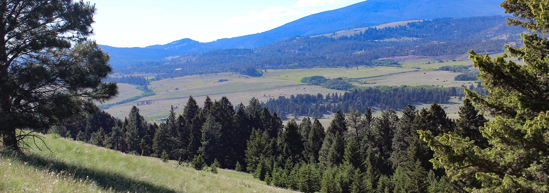 Montana property for sale austin Meadows Mountain Ranch