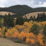 Montana ranches for sale Austin Meadows Mountain Ranch