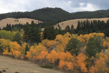 Montana ranches for sale Austin Meadows Mountain Ranch