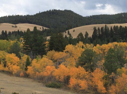 Montana ranches for sale Austin Meadows Mountain Ranch