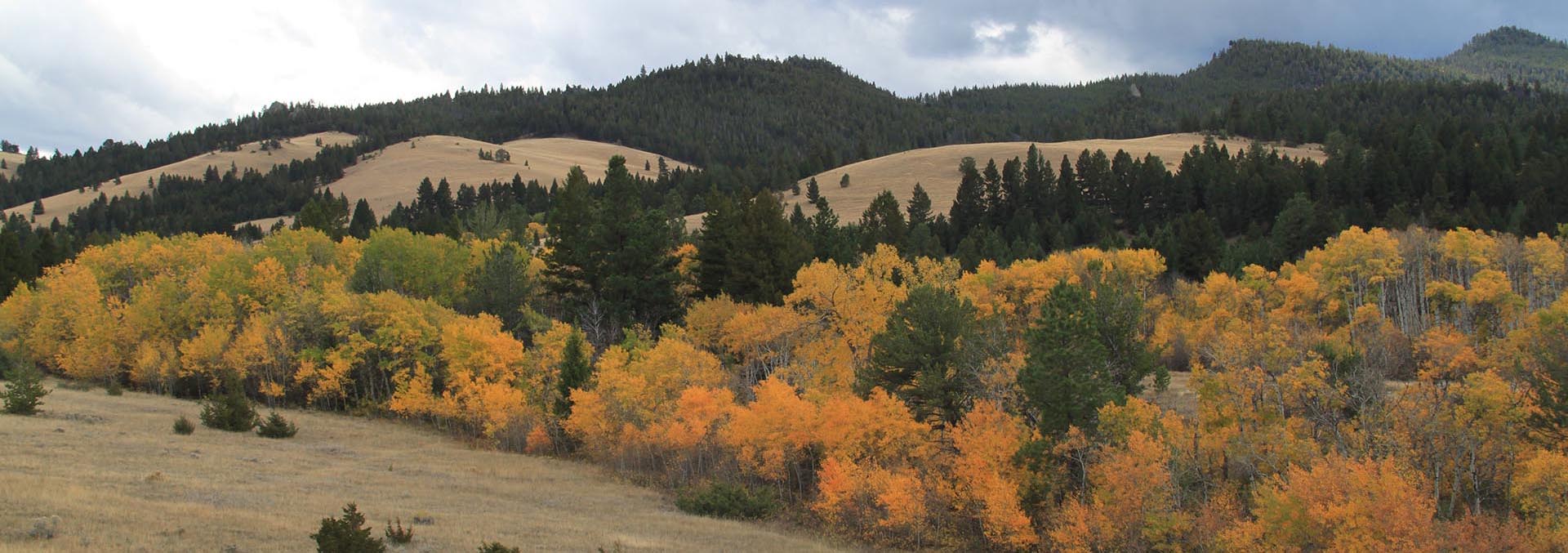 Montana ranches for sale Austin Meadows Mountain Ranch