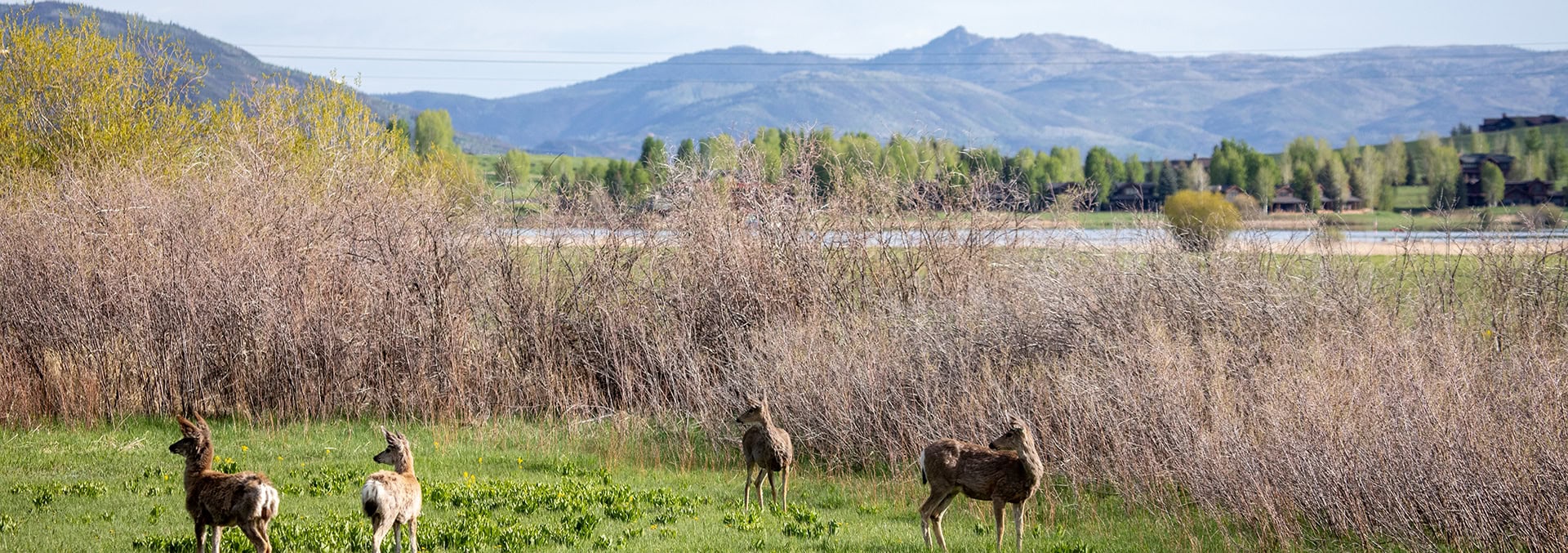 colorado land for sale lake catamount homesite