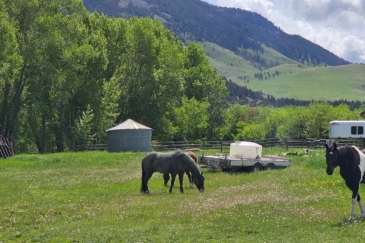 equestrian property for sale montana mjs ranch