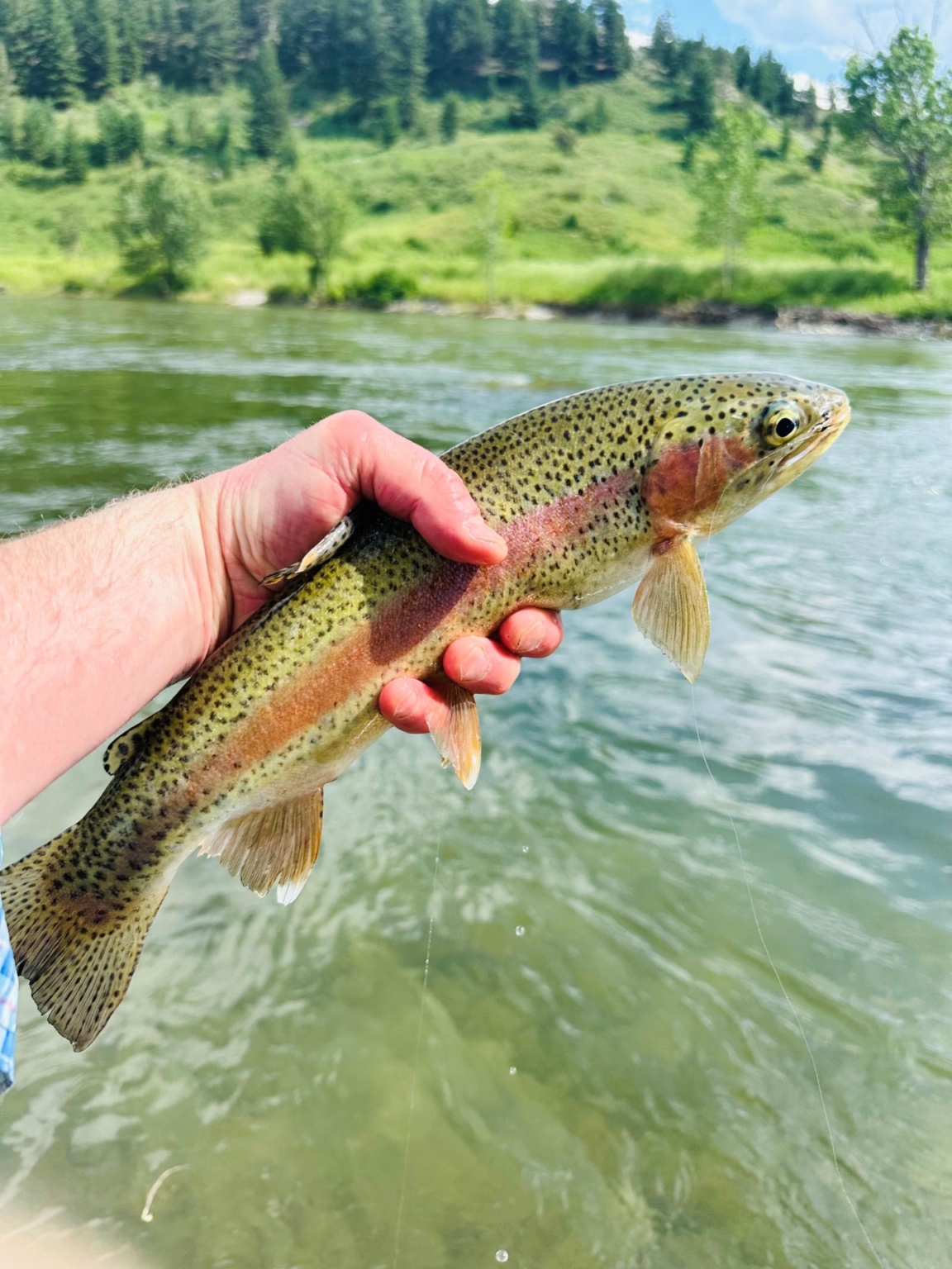 Flying C Ranch | Nye Montana | Fay Ranches