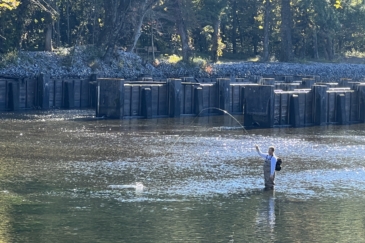 fly fishing property for sale tennessee tailwaters lodge on the south holston