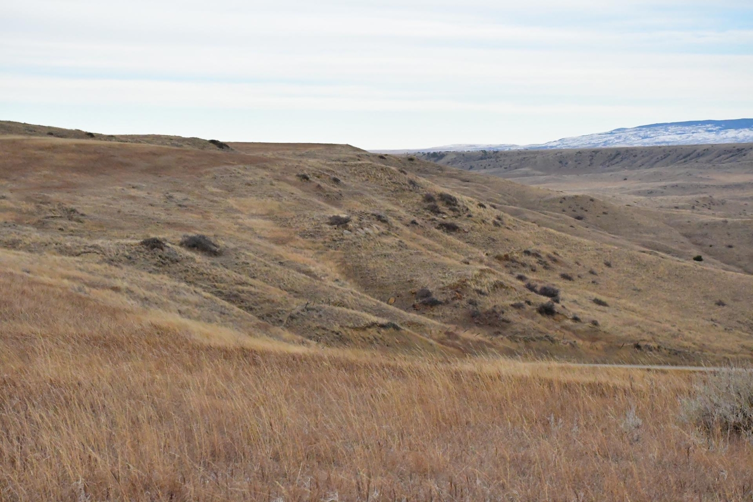 Three Ranges Ranch | Roberts Montana | Fay Ranches