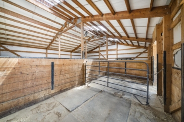 horse properties for sale colorado mustang meadows ranch