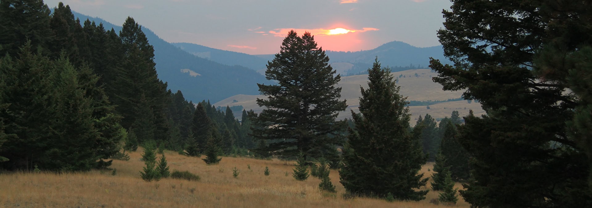 montana land for sale Austin Meadows Mountain Ranch