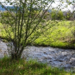 montana ranch for sale snowberry springs