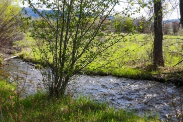 montana ranch for sale snowberry springs
