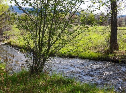 montana ranch for sale snowberry springs