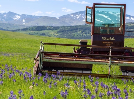 montana ranches for sale East Glacier View Ranch