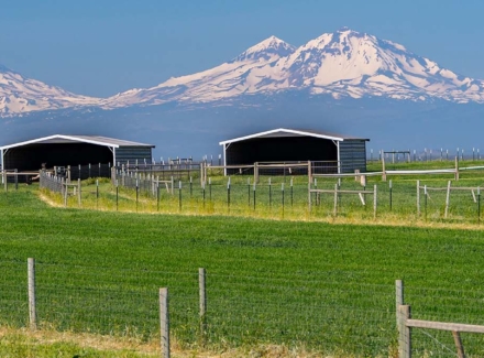 oregon farms for sale mountain view livestock farm