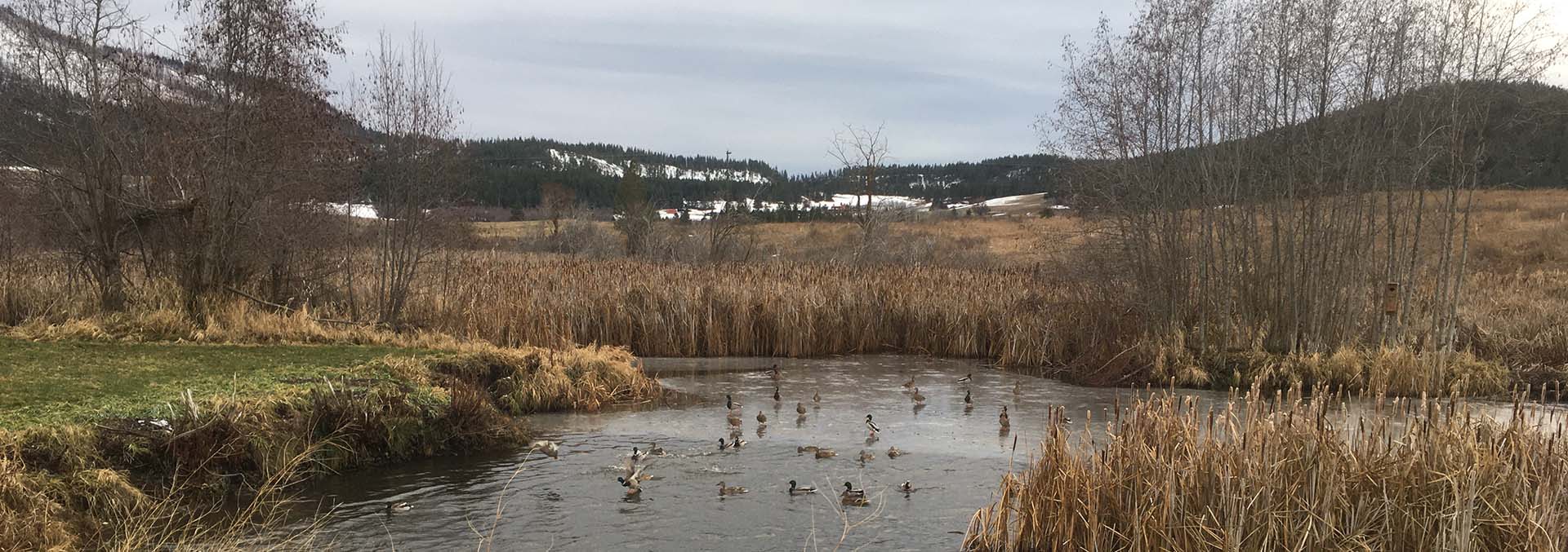 washington property for sale Fruitland Valley Deer Haven