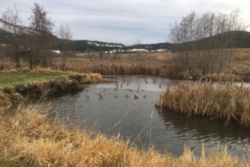 waterfowl hunting land for sale washington fruitland valley deer haven