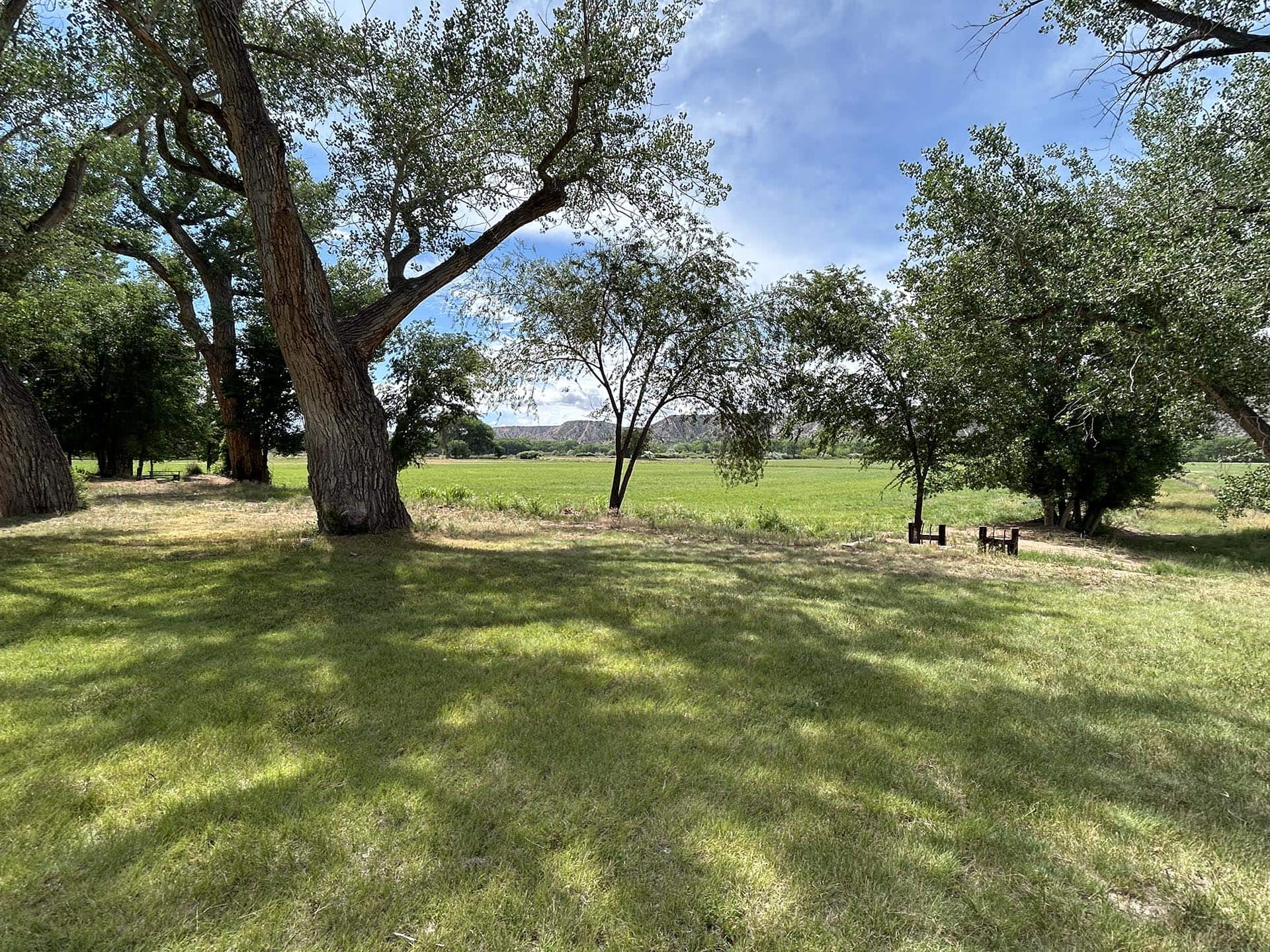 lawn area santa fe new mexico rancho de abiquiu