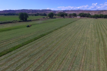 agricultural production land for sale new mexico rancho de abiquiu estates