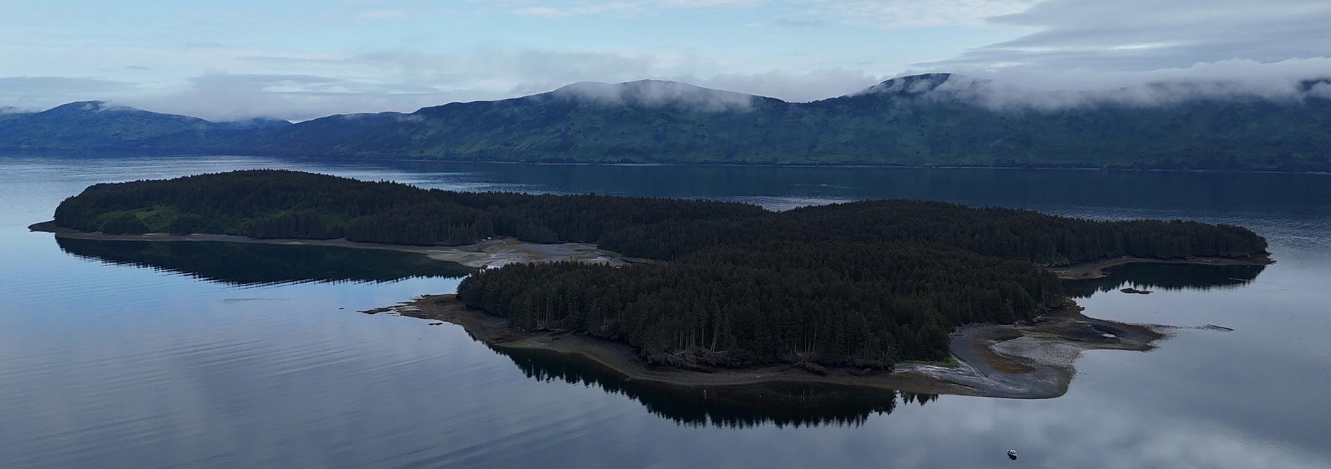 alaska island for sale dry spruce island