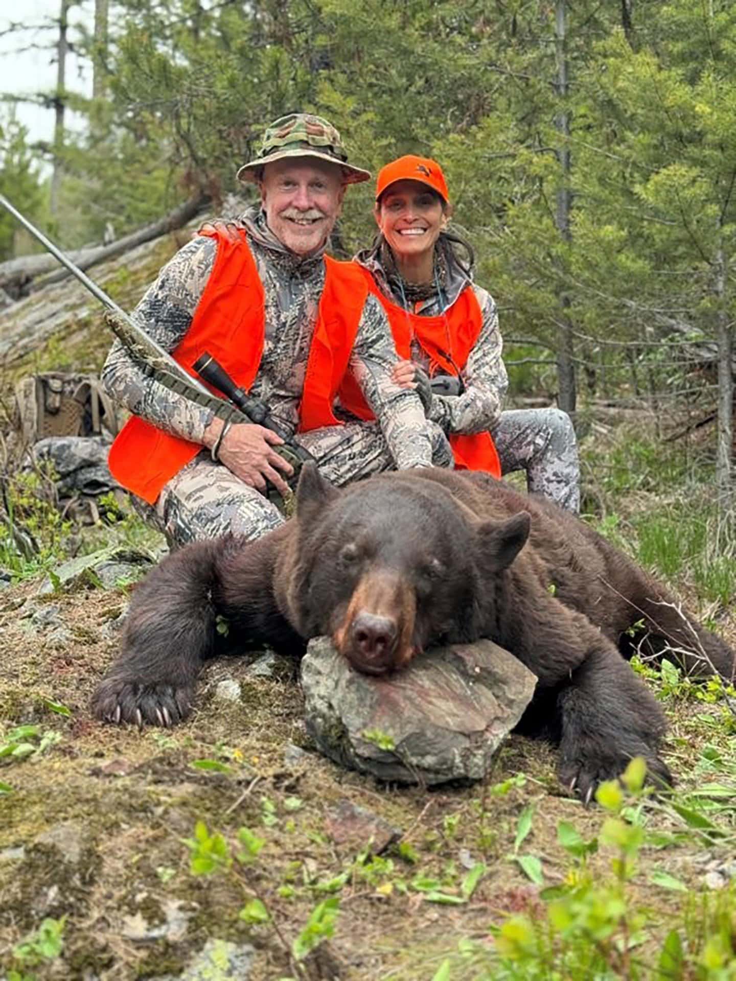 bear hunting montana linehan outfitting