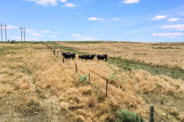 cattle ranches for sale wyoming stage route ranch