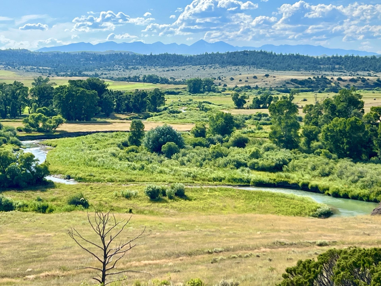Sweet Grass Valley Ranch | Big Timber Montana | Fay Ranches