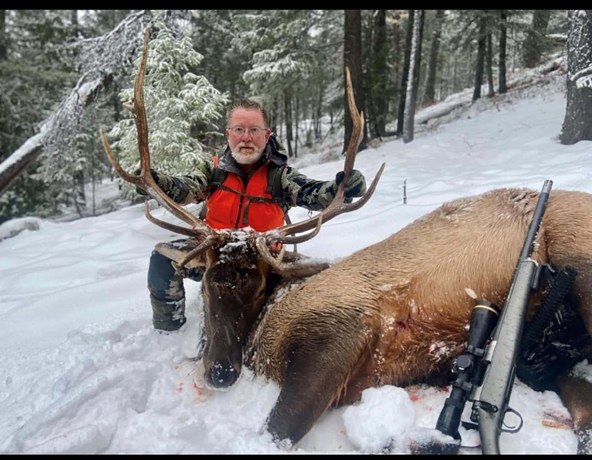 elk hunting montana linehan outfitting
