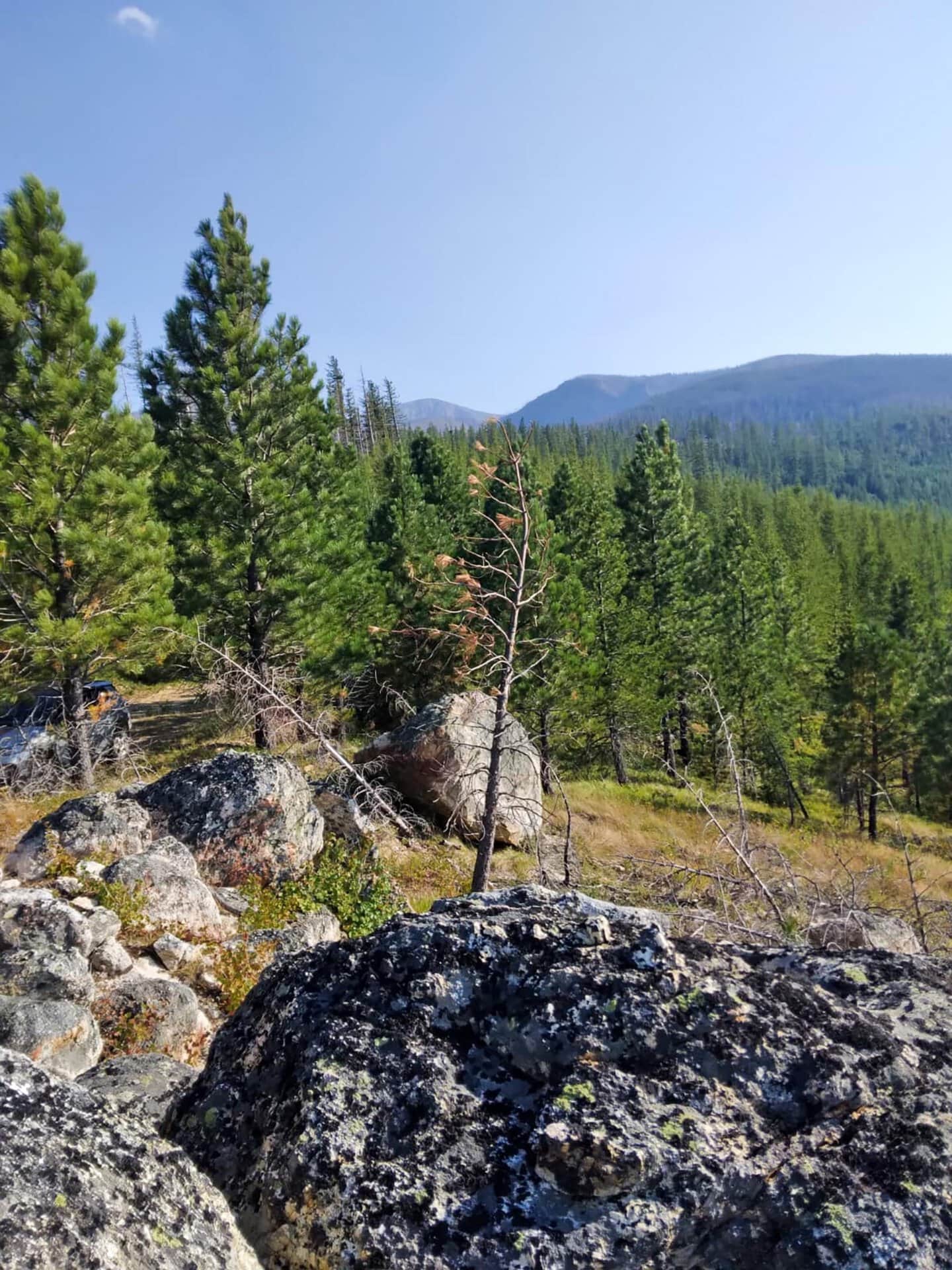lookout point montana lolo peak shadows