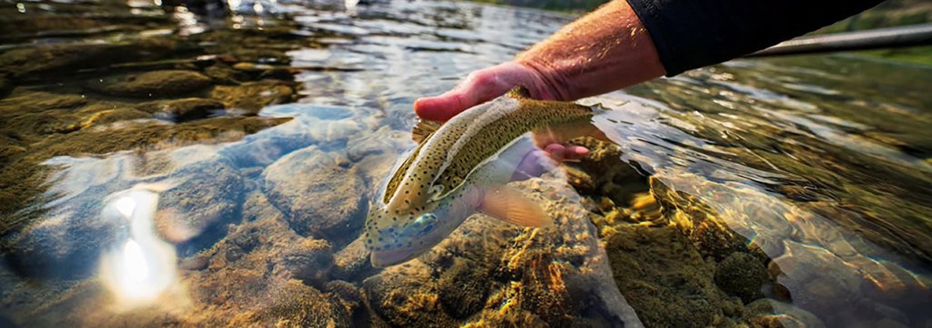 montana fly fishing property for sale linehan outfitting