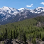 montana property for sale lolo creek shadows