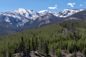 montana property for sale lolo creek shadows