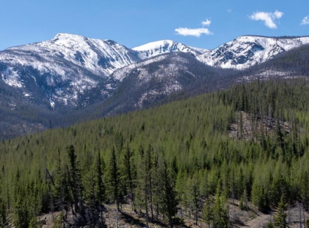 montana property for sale lolo creek shadows