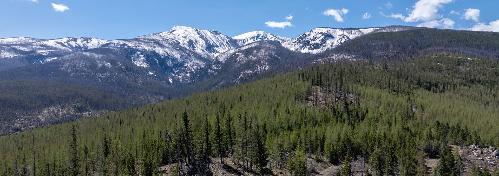 montana property for sale lolo creek shadows