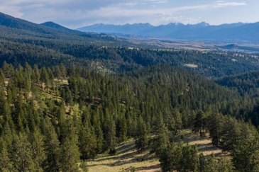 montana ranches for sale bitterroot highlands at willow creek