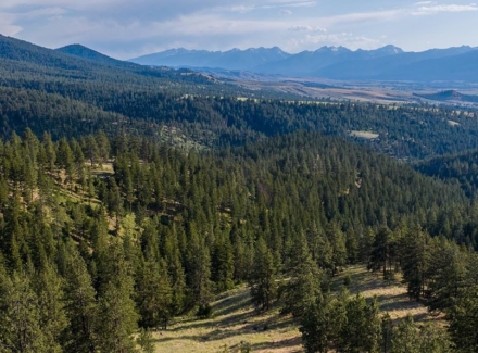 montana ranches for sale bitterroot highlands at willow creek