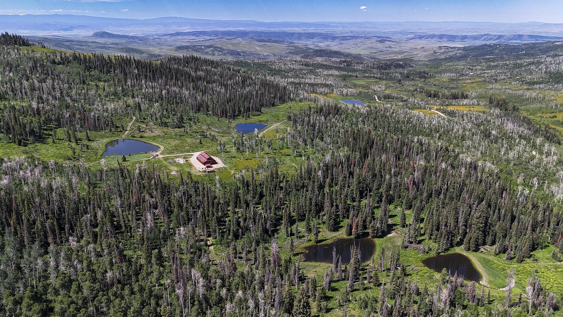 stagecoach land colorado yellow dog ranch