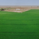 colorado farms for sale otero county irrigated farm