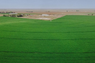 colorado farms for sale otero county irrigated farm