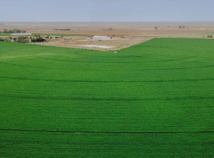 colorado farms for sale otero county irrigated farm
