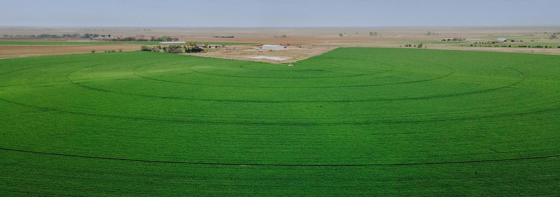 colorado farms for sale otero county irrigated farm