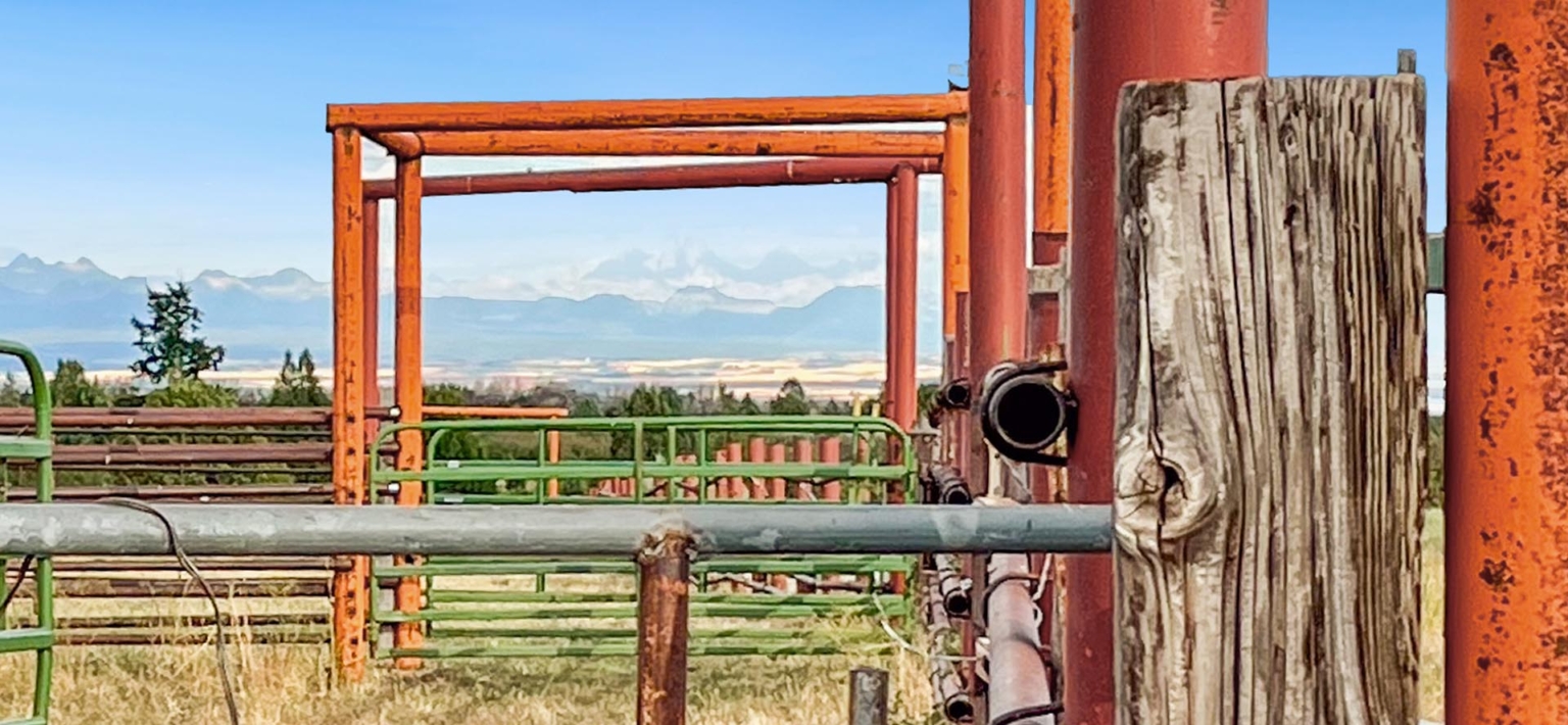 Five Creeks Ranch | Ashton Idaho | Fay Ranches