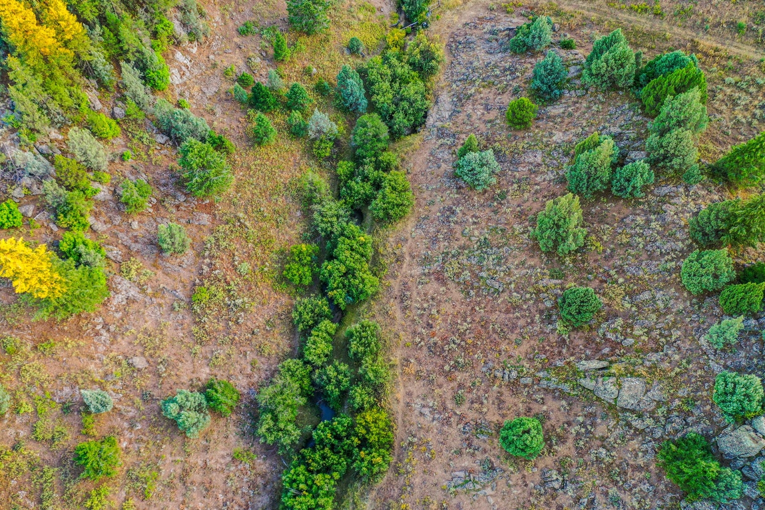 Five Creeks Ranch | Ashton Idaho | Fay Ranches