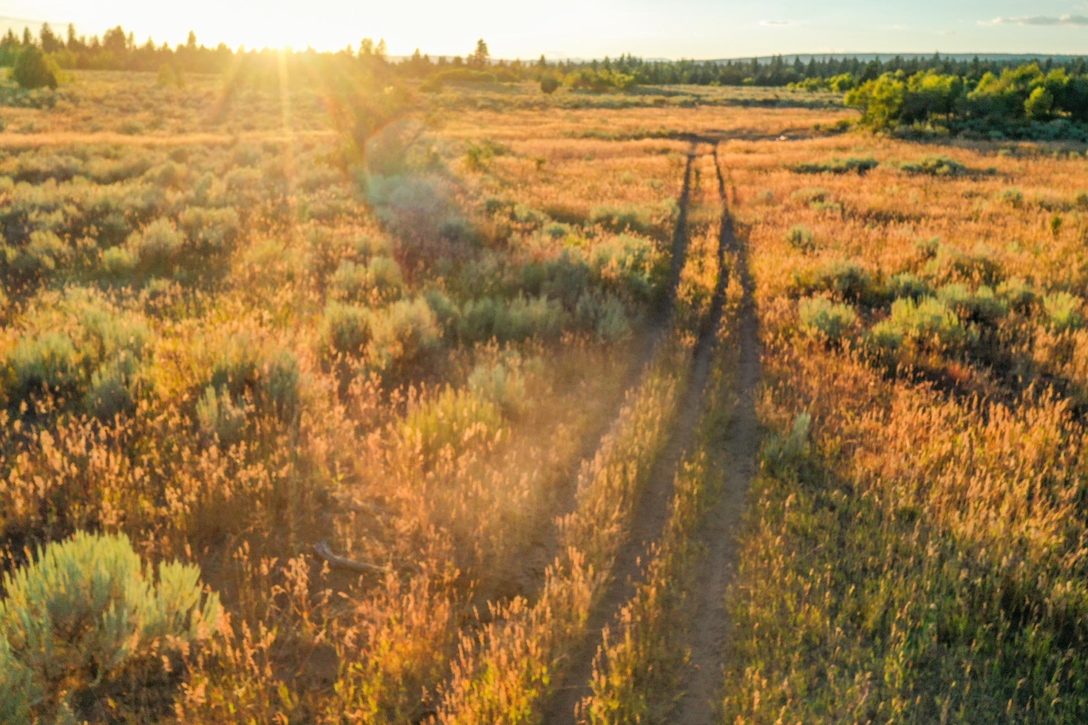 Five Creeks Ranch | Ashton Idaho | Fay Ranches
