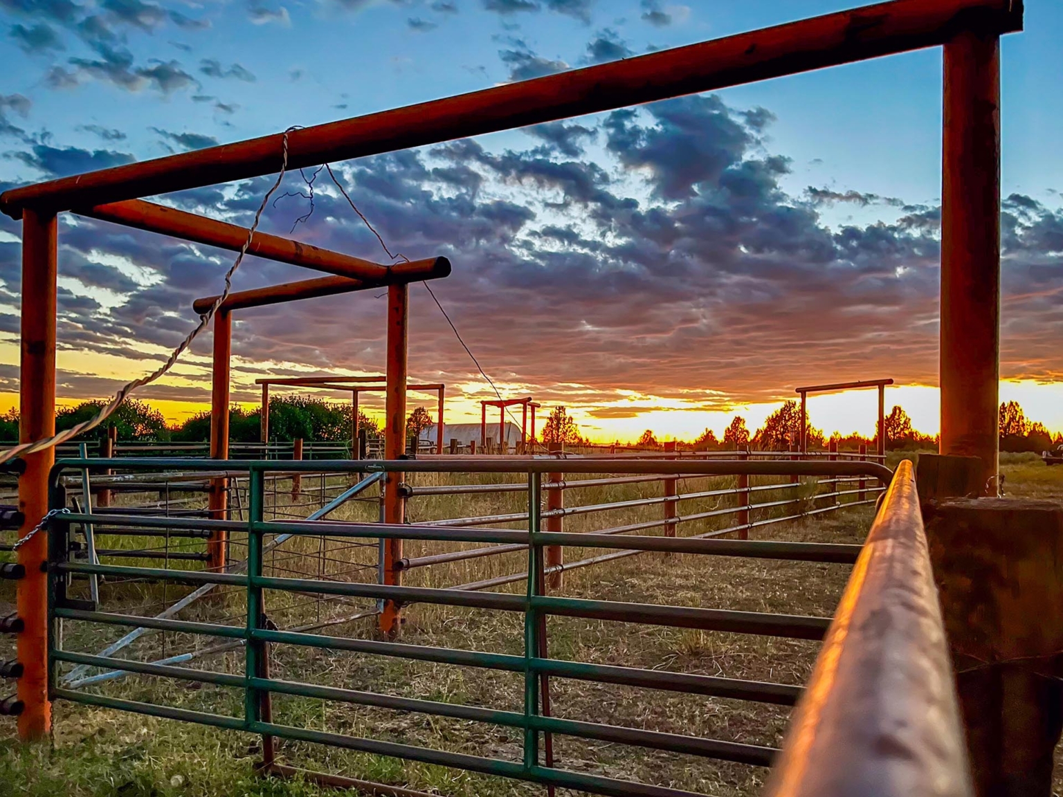 Five Creeks Ranch | Ashton Idaho | Fay Ranches
