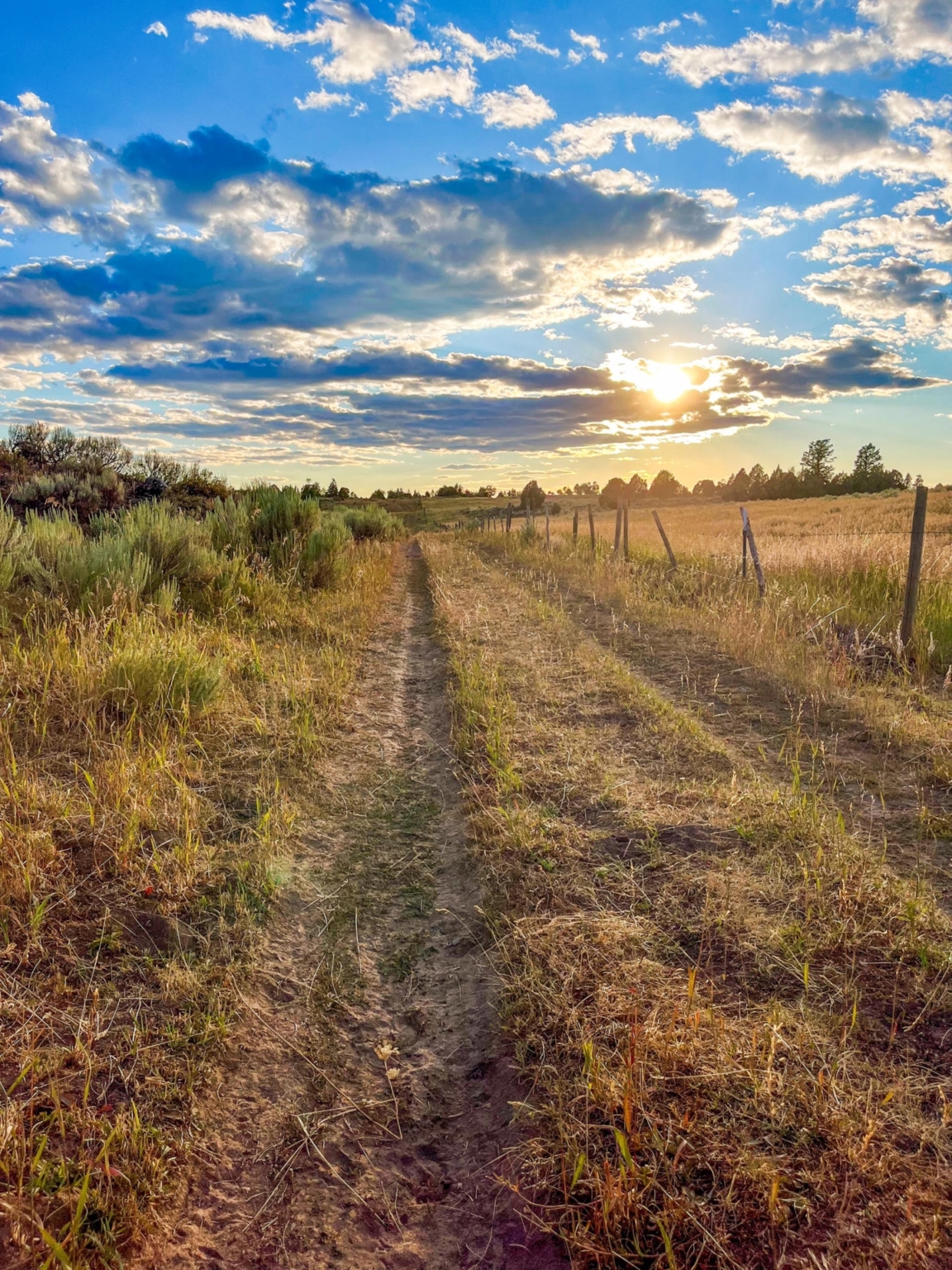 Five Creeks Ranch | Ashton Idaho | Fay Ranches