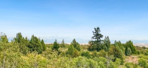 Five Creeks Ranch | Ashton Idaho | Fay Ranches
