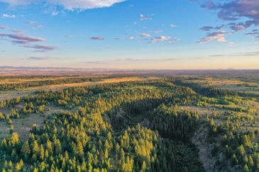 agricultural production land for sale idaho five creeks ranch