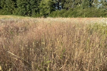 agricultural production land for sale washington silver springs cattle ranch