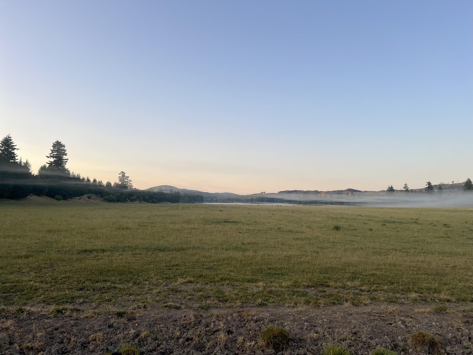 Silver Springs Cattle Ranch | Tenino Washington | Fay Ranches